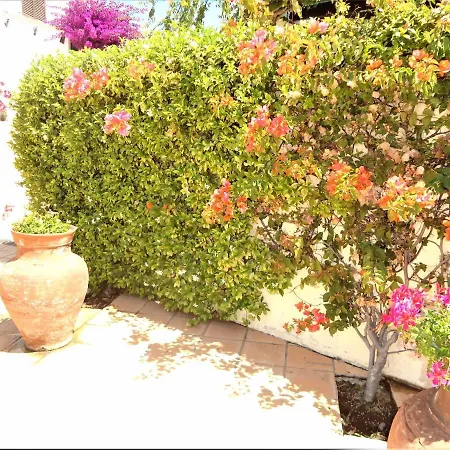 Holiday home V2 Vilar Jardim Piscina Wifi