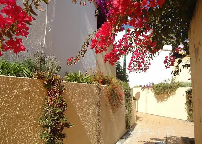 Casa de Férias V2 Vilar Jardim Piscina Wifi *