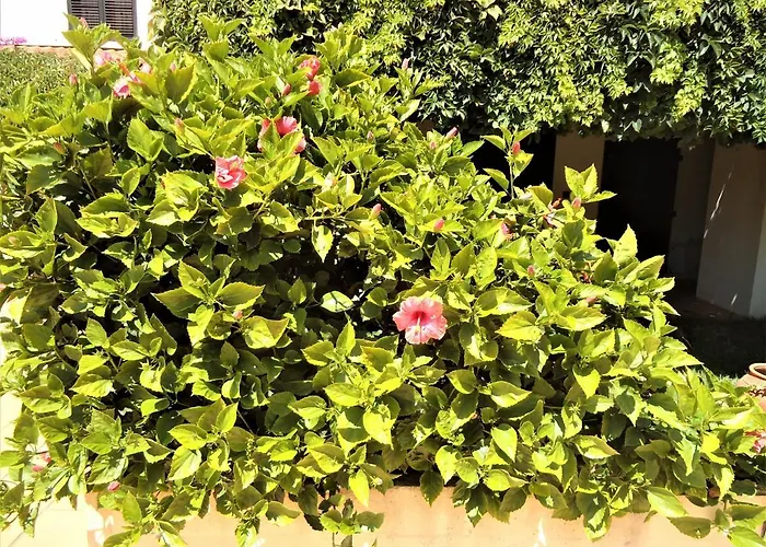 V2 Vilar Jardim Piscina Wifi Casa de Férias *